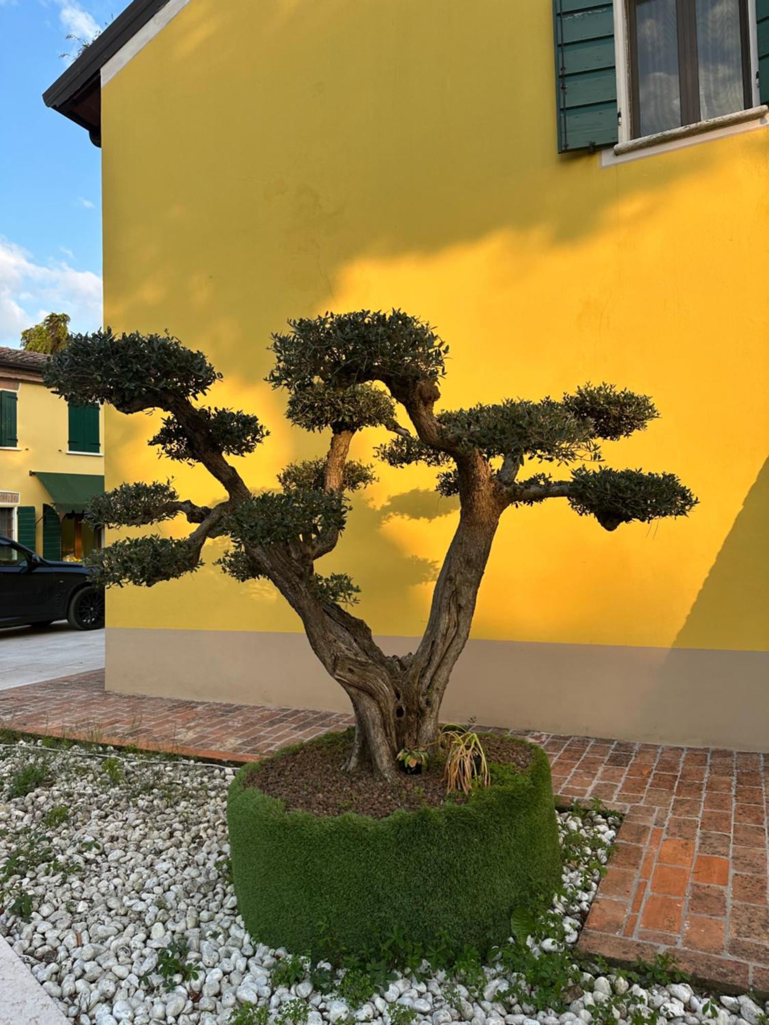 Agriturismo Corte Capiluppia Curtatone ภายนอก รูปภาพ