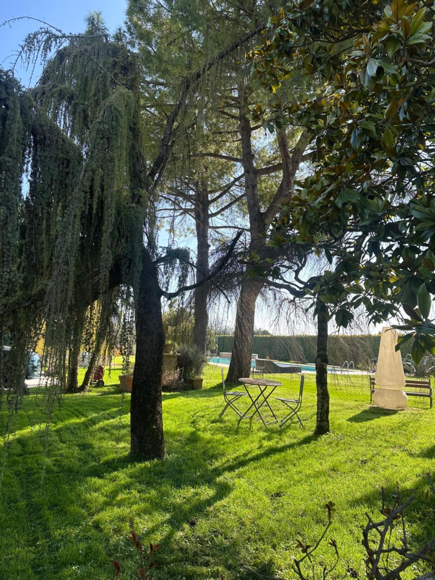 Agriturismo Corte Capiluppia Curtatone ภายนอก รูปภาพ
